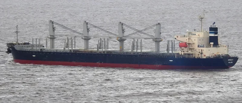 MANTA HATICE Bulk Carrier IMO 9338565 photo 7