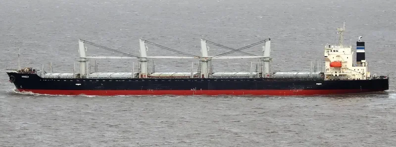 MANTA HATICE Bulk Carrier IMO 9338565 photo 8