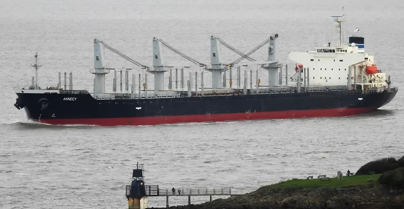 MANTA HATICE Bulk Carrier IMO 9338565 photo 9