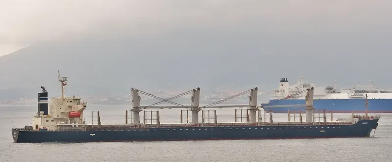 MANTA HATICE Bulk Carrier IMO 9338565 photo 10