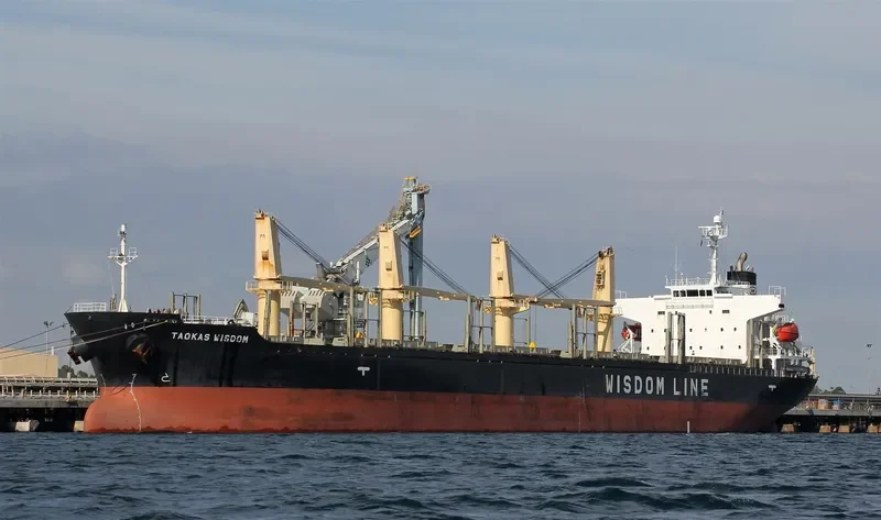 TAOKAS WISDOM Bulk Carrier IMO 9338577 photo 10