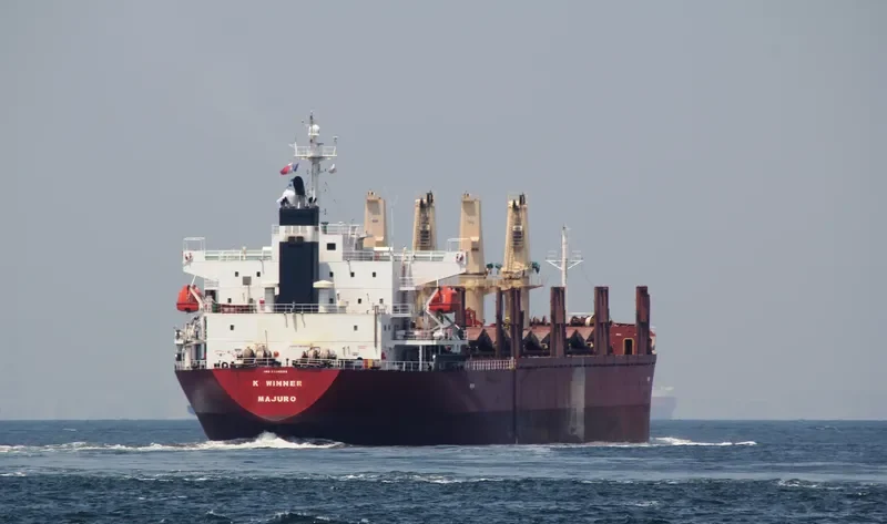 K WINNER Bulk Carrier IMO 9338589