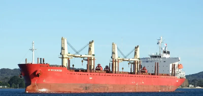 K WINNER Bulk Carrier IMO 9338589 photo 2