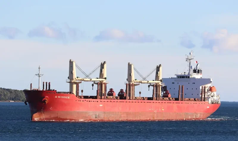 K WINNER Bulk Carrier IMO 9338589 photo 3