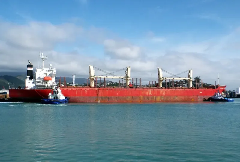 K WINNER Bulk Carrier IMO 9338589 photo 4