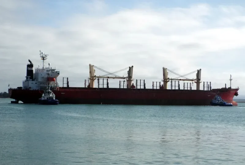 K WINNER Bulk Carrier IMO 9338589 photo 5