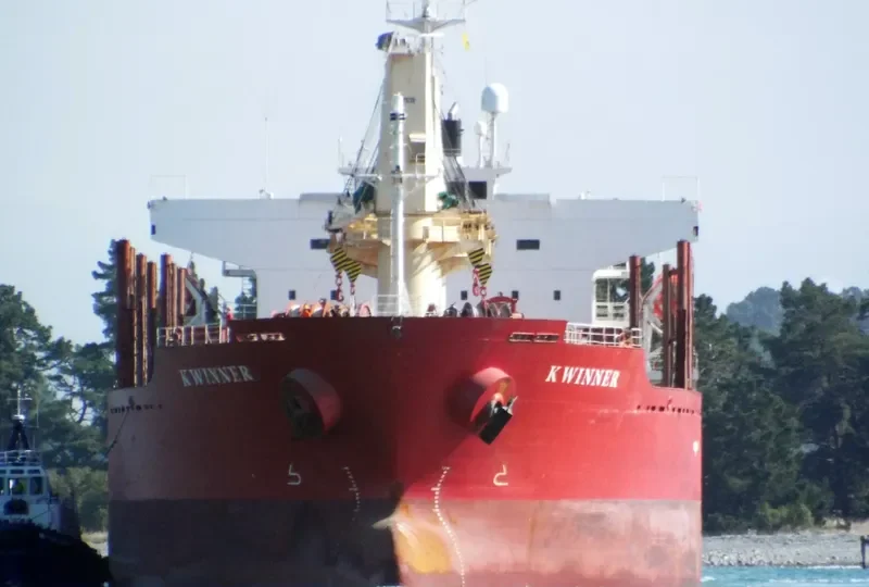 K WINNER Bulk Carrier IMO 9338589 photo 6