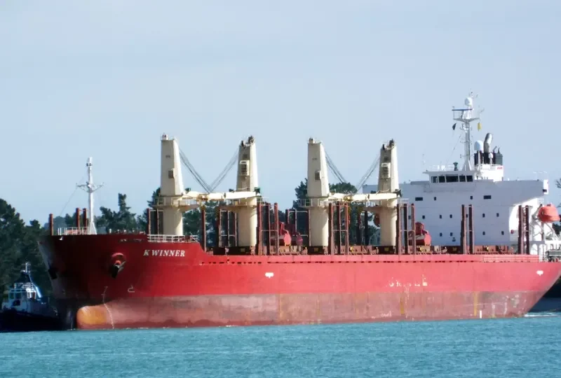 K WINNER Bulk Carrier IMO 9338589 photo 7