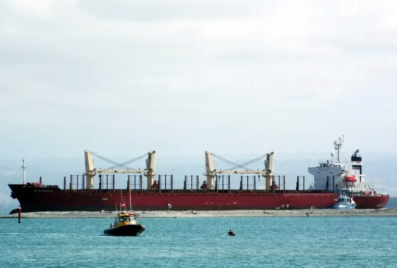 K WINNER Bulk Carrier IMO 9338589 photo 8