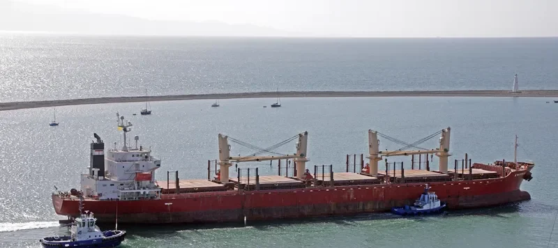 K WINNER Bulk Carrier IMO 9338589 photo 9