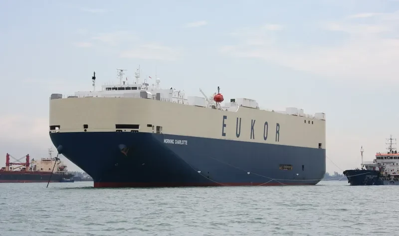 MORNING CHARLOTTE General Cargo IMO 9338694 photo 7