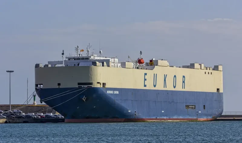 MORNING CARINA General Cargo IMO 9338709