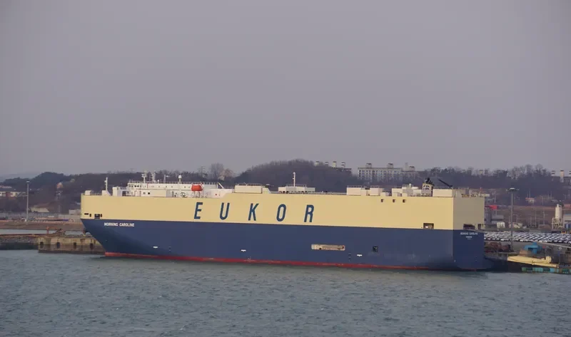 MORNING CAROLINE General Cargo IMO 9338723 photo 9