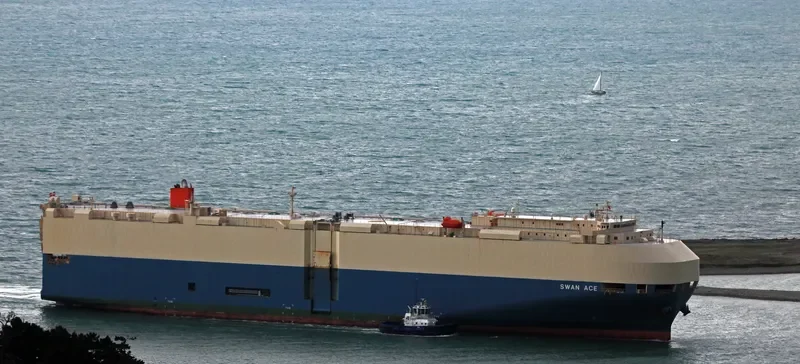 SWAN ACE General Cargo IMO 9338826 photo 3