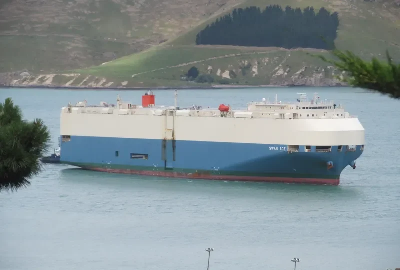 SWAN ACE General Cargo IMO 9338826 photo 6