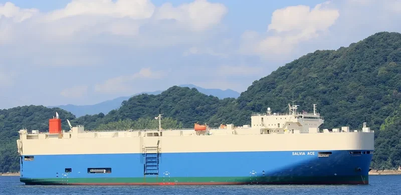 SALVIA ACE General Cargo IMO 9338876
