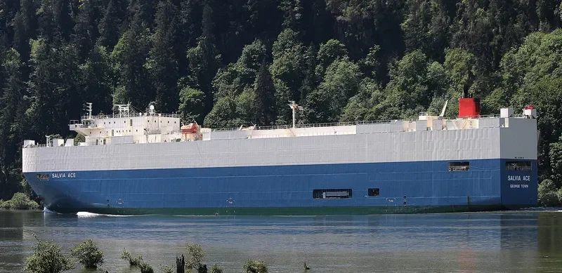 SALVIA ACE General Cargo IMO 9338876 photo 6