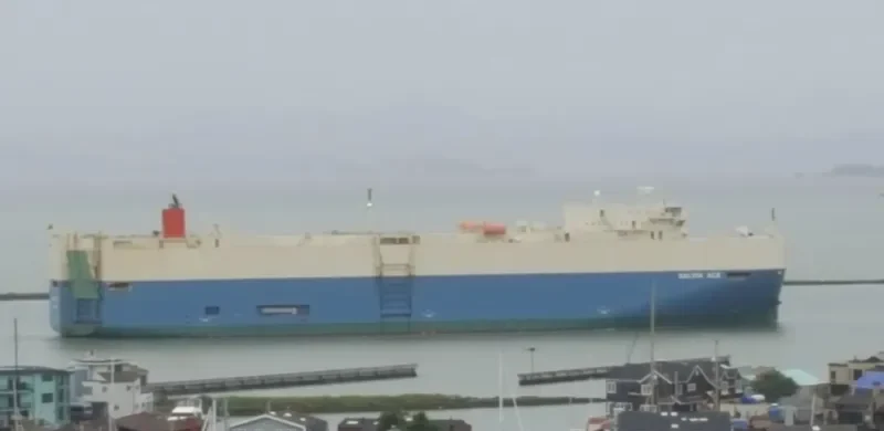 SALVIA ACE General Cargo IMO 9338876 photo 8