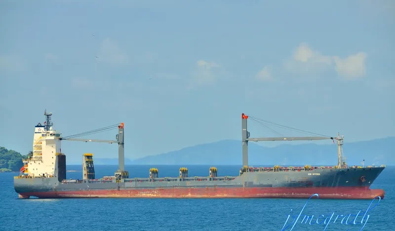 EM HYDRA Container Ship IMO 9338967 photo 3