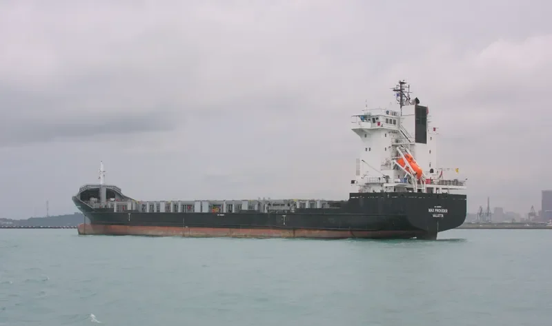 PACIFIC NINGBO Container Ship IMO 9339064 photo 6