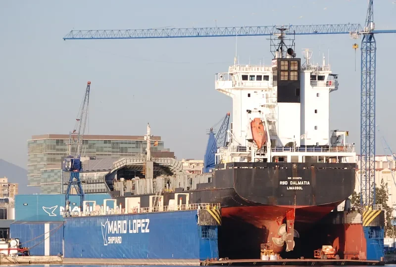 HAI SU 10 Container Ship IMO 9339076 photo 9