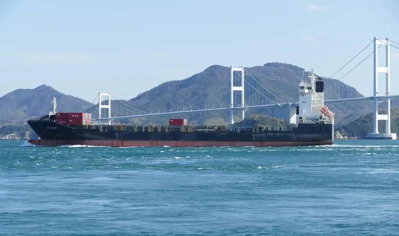 PACIFIC DALIAN Container Ship IMO 9339090 photo 4