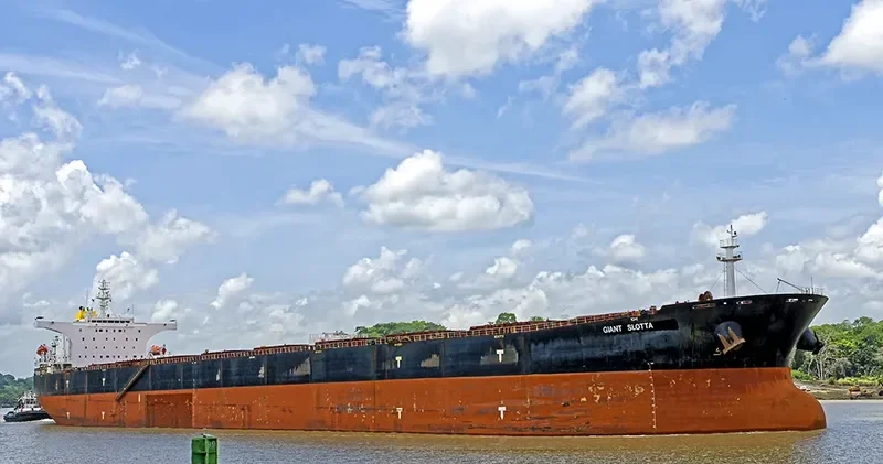 HIGHLAND PARK Bulk Carrier IMO 9339181 photo 2