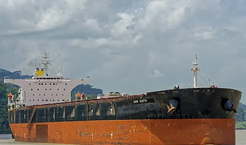 HIGHLAND PARK Bulk Carrier IMO 9339181 photo 3