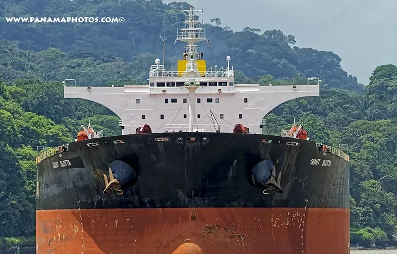 HIGHLAND PARK Bulk Carrier IMO 9339181 photo 4