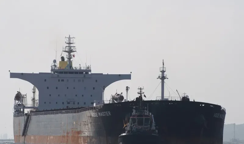 HIGHLAND PARK Bulk Carrier IMO 9339181 photo 6