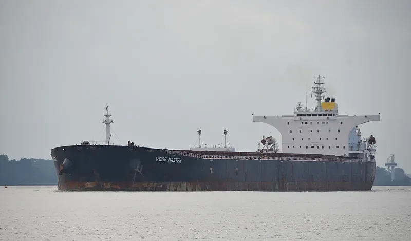 HIGHLAND PARK Bulk Carrier IMO 9339181 photo 8