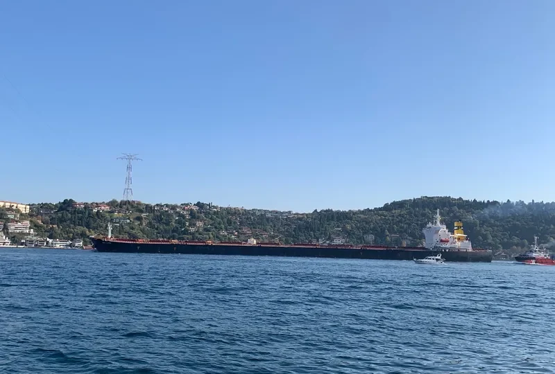 HIGHLAND PARK Bulk Carrier IMO 9339181 photo 10