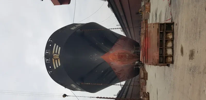 MSC PINA Container Ship IMO 9339272