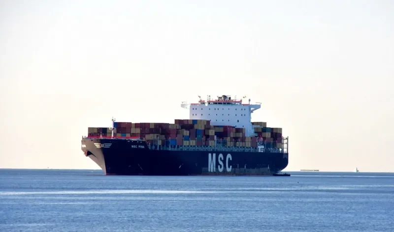 MSC PINA Container Ship IMO 9339272 photo 2