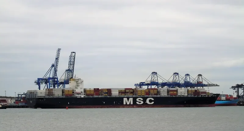 MSC PINA Container Ship IMO 9339272 photo 3