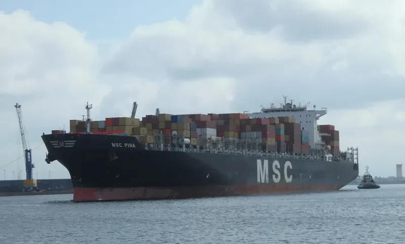 MSC PINA Container Ship IMO 9339272 photo 6