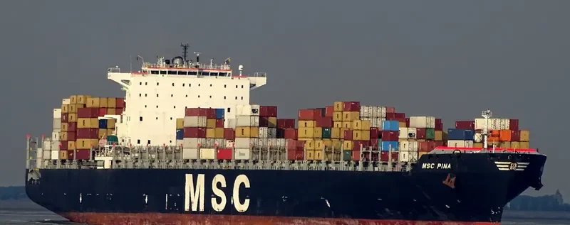 MSC PINA Container Ship IMO 9339272 photo 8