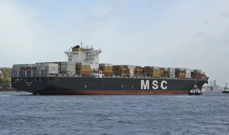 MSC PINA Container Ship IMO 9339272 photo 9