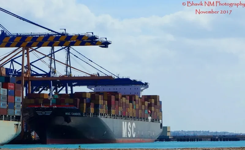 MSC CANDICE Container Ship IMO 9339284