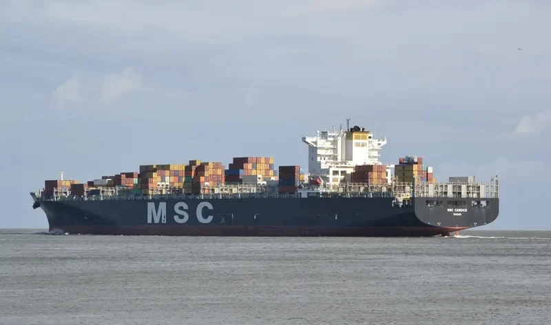 MSC CANDICE Container Ship IMO 9339284 photo 7