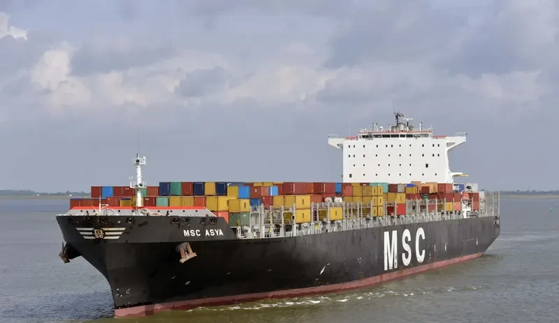 MSC ASYA Container Ship IMO 9339296 photo 5