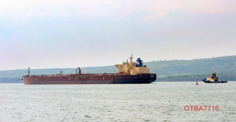 NS LOTUS Tanker IMO 9339337 photo 3