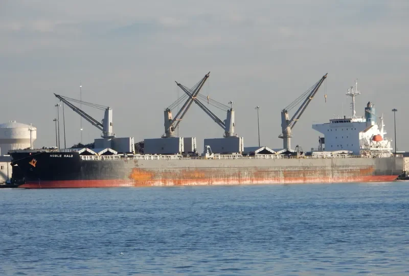 NOBLE HALO Bulk Carrier IMO 9339430 photo 3