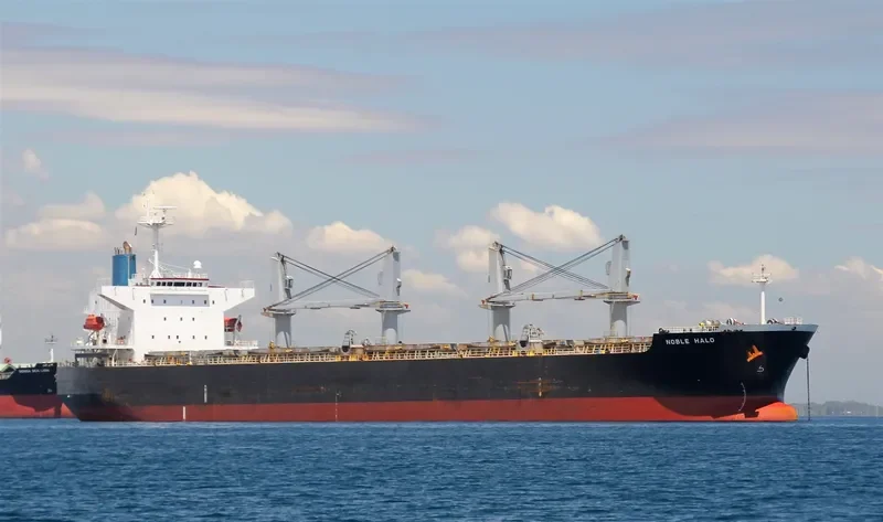 NOBLE HALO Bulk Carrier IMO 9339430 photo 4