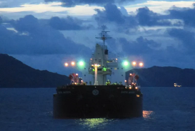 MESSINIAN SPIRE Bulk Carrier IMO 9339442 photo 5