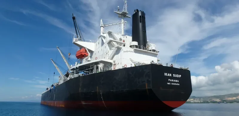AKIJ HERITAGE Bulk Carrier IMO 9339454 photo 2