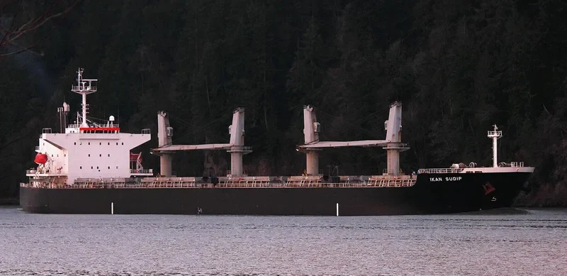 AKIJ HERITAGE Bulk Carrier IMO 9339454 photo 3