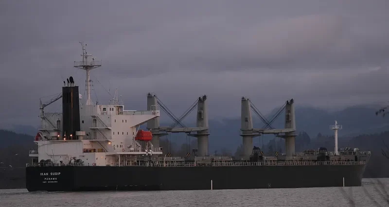 AKIJ HERITAGE Bulk Carrier IMO 9339454 photo 5