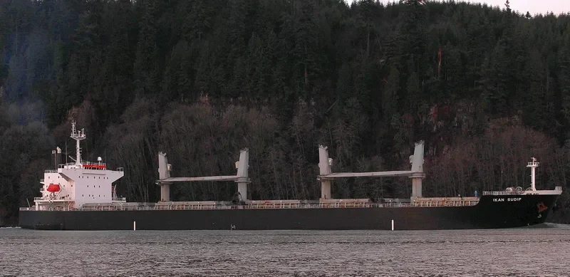 AKIJ HERITAGE Bulk Carrier IMO 9339454 photo 6