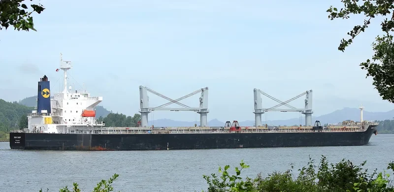 AKIJ HERITAGE Bulk Carrier IMO 9339454 photo 7